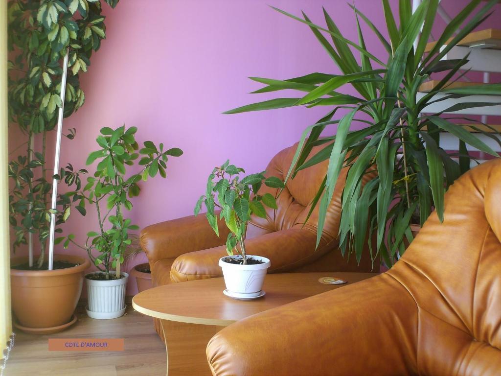 Pension Cote D'Amour โมเอเชอ เด จอส ห้อง รูปภาพ