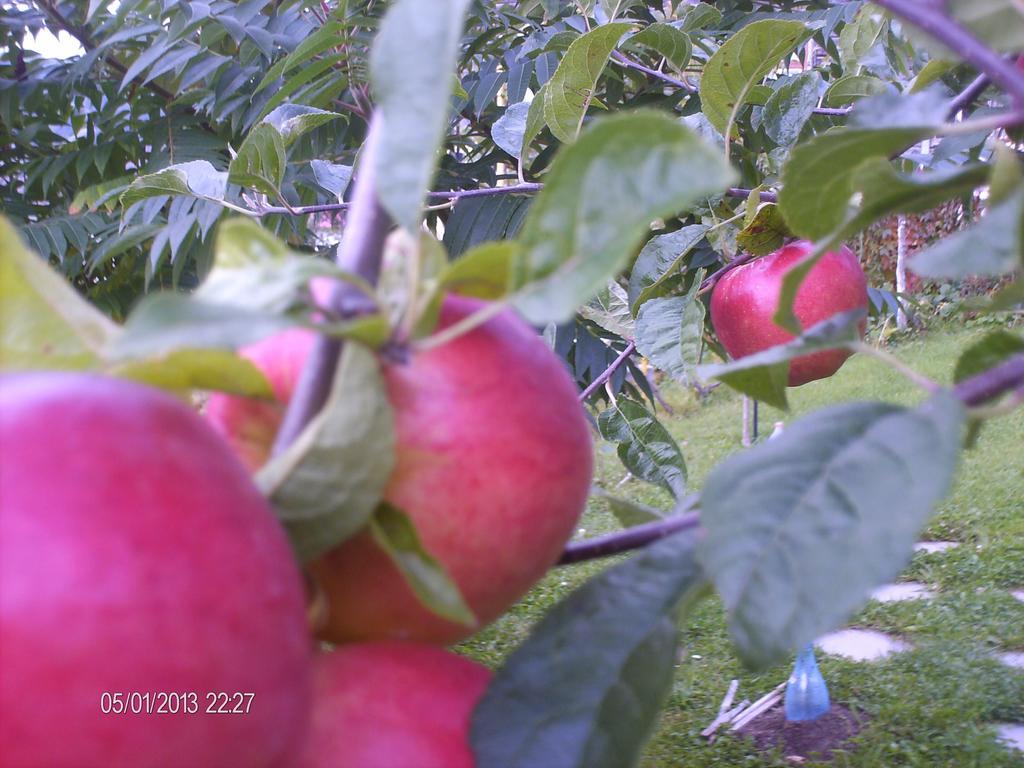 Pension Cote D'Amour โมเอเชอ เด จอส ภายนอก รูปภาพ